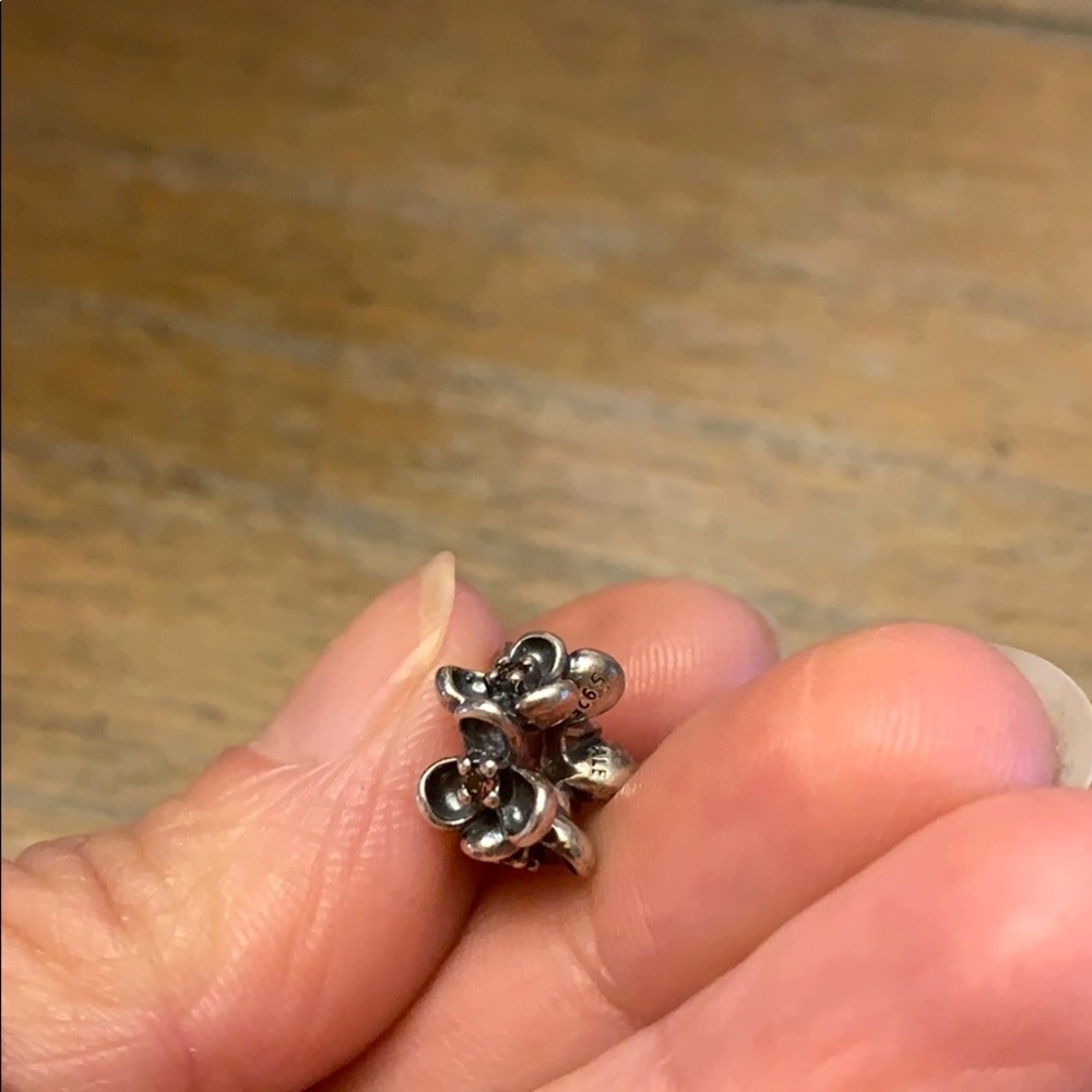 Pandora retired wandas flower 🌸 charm